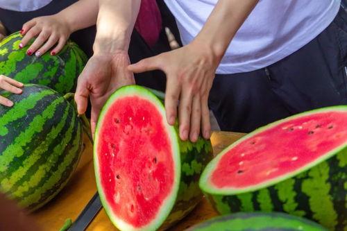 江苏传媒学院吃瓜,揭秘校园热点事件背后的真相