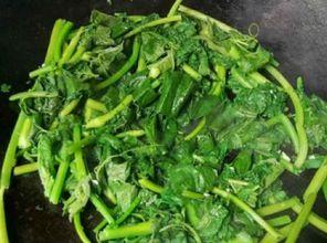 吃瓜吃出瓜秧,瓜秧生长记