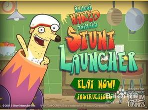 吃瓜小熊日,揭秘熊界美食狂欢背后的故事