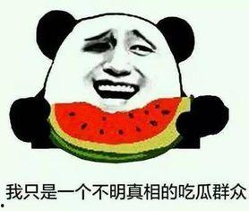 经典吃瓜事件,经典吃瓜事件背后的真相与启示