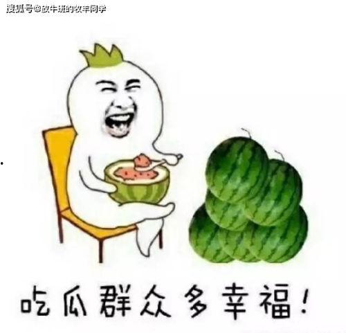 吃瓜别人房子,吃瓜群众如何引发别人房子的风云变幻