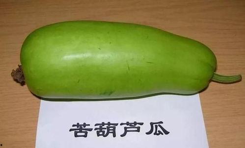 吃葫芦瓜苦中毒,揭秘原因与预防措施