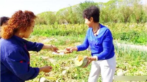 新疆老人吃哈密瓜,传承甜蜜生活记忆