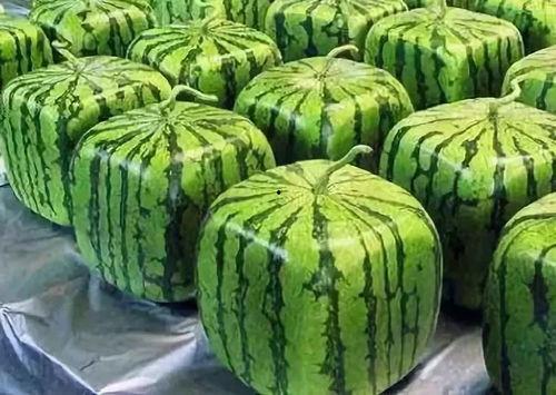 吃瓜202509创,吃瓜群众的热议焦点大盘点