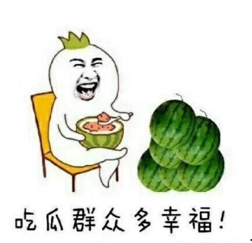 绿麻瓜怎么吃,解锁美味新体验