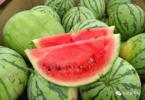 哇哇吃瓜,揭秘娱乐圈那些不为人知的幕后故事