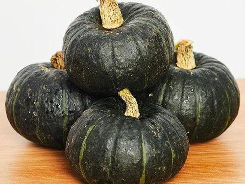 宝宝吃南瓜还是贝贝瓜,宝宝营养新选择