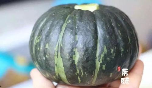 宝宝吃南瓜还是贝贝瓜,宝宝营养新选择