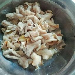 肠子吃瓜,揭秘肠道健康与美味瓜果的奇妙关系