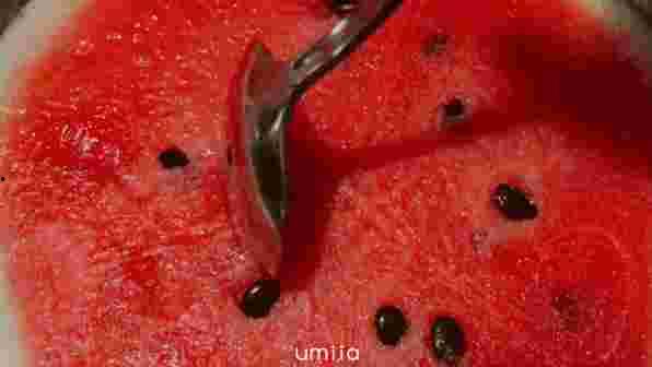 人均吃瓜113斤,人均吃瓜113斤，揭秘我国瓜果消费新趋势