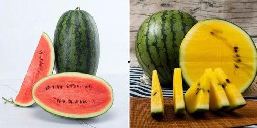 吃瓜的过程,一场味蕾与心灵的盛宴