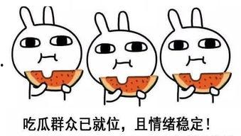 靓仔吃瓜图片,靓仔吃瓜瞬间，笑料百出