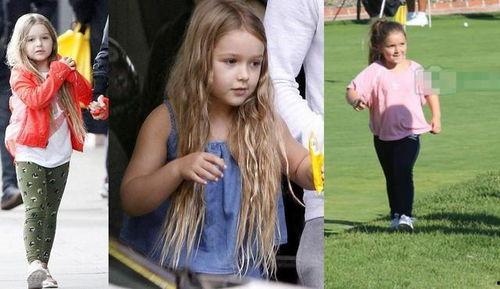 小七 吃瓜,揭秘娱乐圈那些不为人知的幕后故事