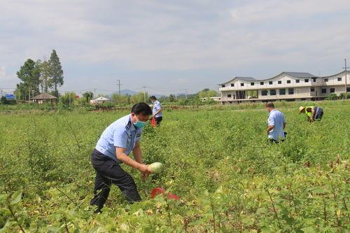 疫情期间警察吃瓜,守护平安与欢乐