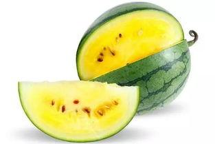 吃瓜必看的视频,一网打尽全网热议瞬间