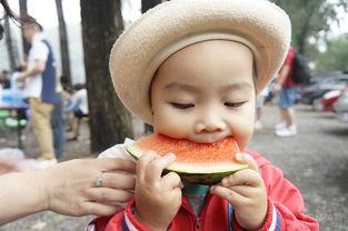 范瓜咋吃,解锁美味新境界