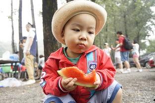 范瓜咋吃,解锁美味新境界