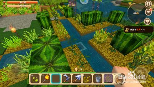 迷你世界瓜怎么吃,轻松解锁瓜类美食之旅