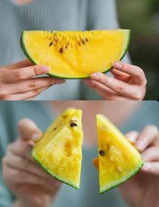 只吃瓜仔的瓜,揭秘只吃瓜仔的独特美食之旅