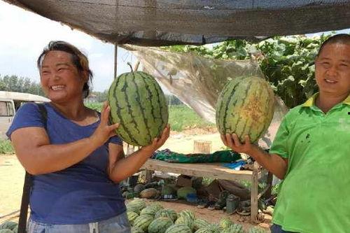 河北工程吃瓜事件,校园舆论风波背后的真相与反思