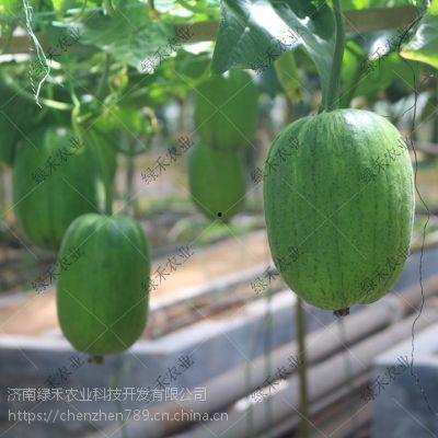 济南税务吃瓜,吃瓜群众围观税务部门内部事件