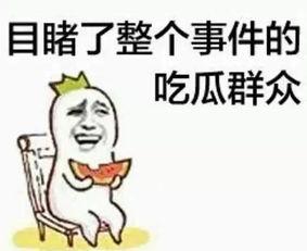 老三吃小瓜,一场舌尖上的夏日盛宴
