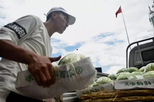 瓜哥带你吃瓜抗日