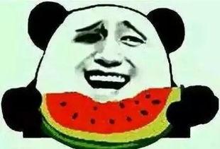 吃瓜群众的挑瓜,揭秘吃瓜群众的挑瓜秘籍