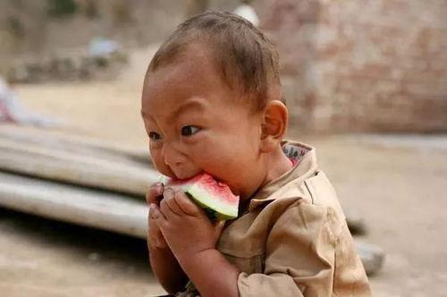 带你吃瓜的儿子,跟随儿子探索美食世界的奇妙之旅