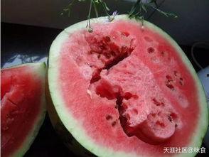 吃瓜检测科,揭秘食品安全背后的神秘力量