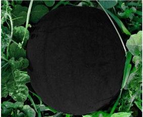 老外吃黑皮瓜,老外品尝独特黑皮瓜的奇妙体验