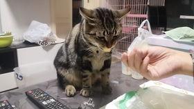 爱可可吃瓜,揭秘娱乐圈那些不为人知的幕后故事