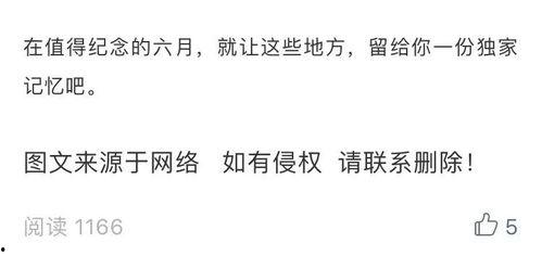 白日吃瓜小说推文