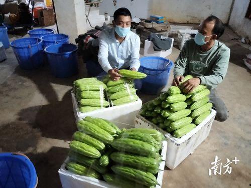 抗疫吃瓜,见证时代变迁的民间视角