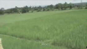 01和平精英吃瓜,吃瓜群众揭秘游戏幕后故事