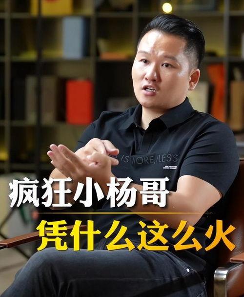 嘴哥直播吃瓜,揭秘娱乐圈幕后故事