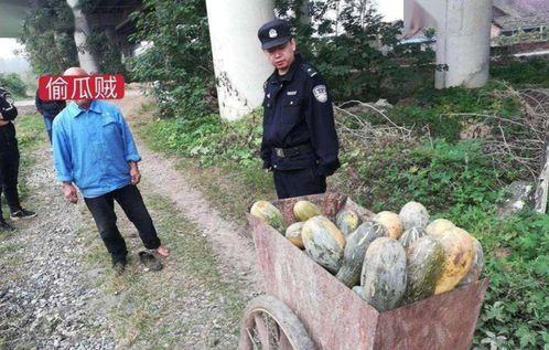 近期热门吃瓜事件魏县