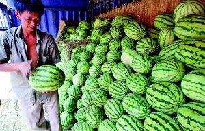 陕西人吃瓜呢,揭秘“吃瓜呢”的独特魅力