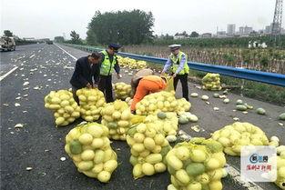 河南援疆吃瓜视频,一场别开生面的吃瓜盛宴