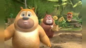 吃瓜熊被打视频,真相与反思