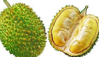 网纹瓜能和榴莲一起吃吗,美味搭配的禁忌与建议