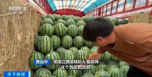 燕郊吃瓜圈,邻里八卦背后的社区生活画卷