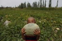 吃瓜全程,揭秘娱乐圈幕后真相