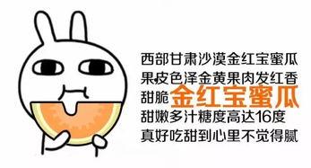 认真当吃瓜群众,揭秘娱乐圈幕后真相
