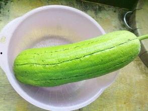 翠玉瓜是水瓜吗怎么吃,揭秘水瓜的独特风味与多样食法