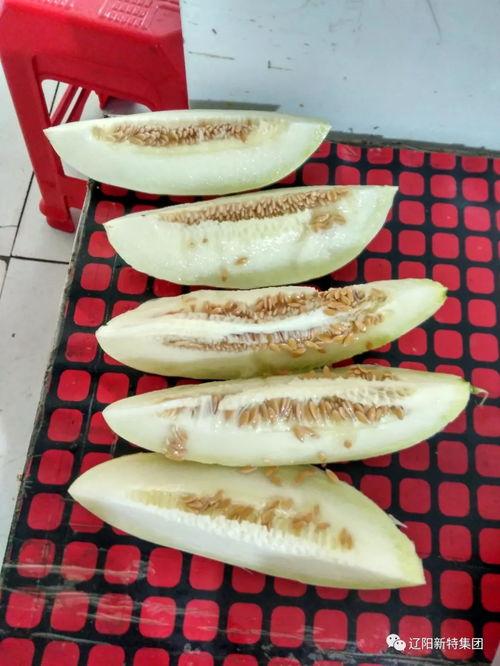 清园吃瓜,揭秘宫廷美食背后的故事