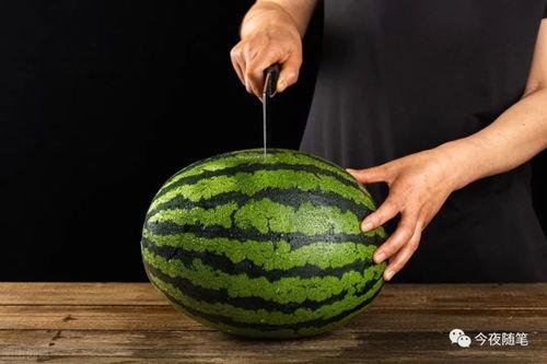 清园吃瓜,揭秘宫廷美食背后的故事