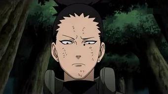 fx鹿丸吃瓜,揭秘娱乐圈吃瓜背后的真相