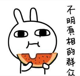 幽默吃瓜的故事,那些让人捧腹的吃瓜故事