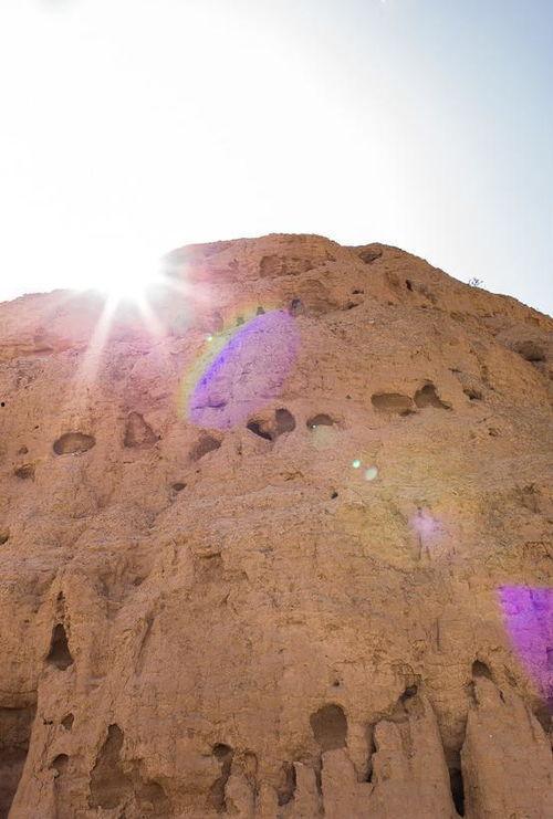 腾格里沙漠吃瓜,一场别开生面的“吃瓜”之旅